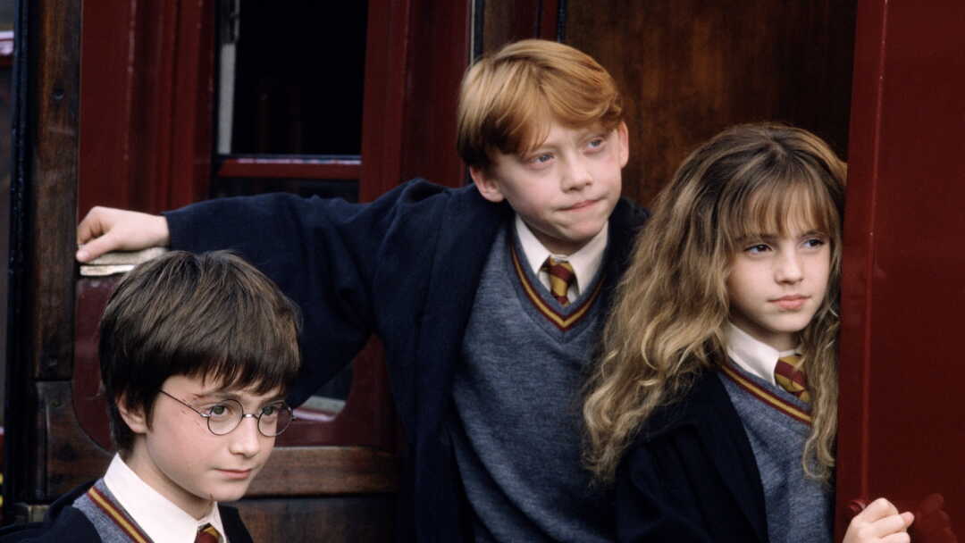 Harry Potter Y La Piedra Filosofal Repelis