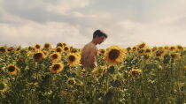 Sunflower - Ver Online Gratis
