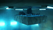 The Platform Película Completa