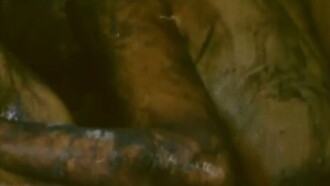 12/66: Cosinus Alpha Trailer