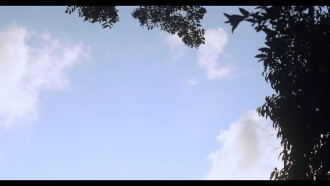 15 Dias Trailer