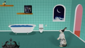 22 Rooms Trailer