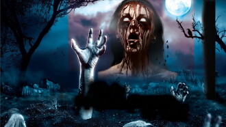 3: All Hallow's Eve Trailer