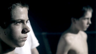 38,5 Trailer