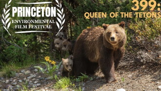 399: Queen of the Tetons Trailer