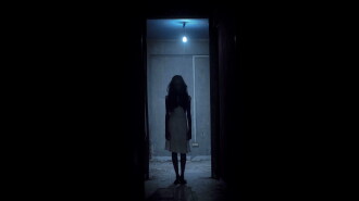 4426 Trailer
