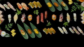 4K Sushi Trailer