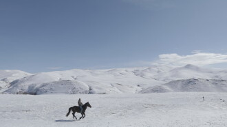 5 Dreamers and a Horse Trailer