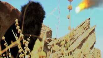 90 000 B.C: A Gorilla Odyssey Trailer
