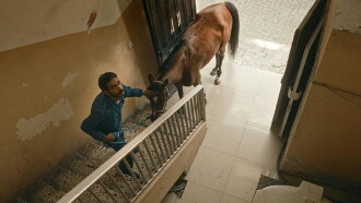 A Beautiful Excuse for a Deadly Sin Trailer