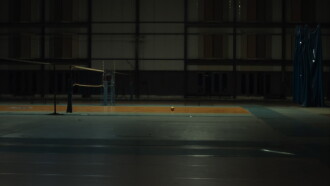 A Bird Flew Trailer