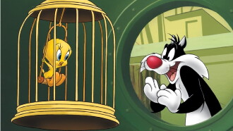 A Bird in a Guilty Cage Trailer