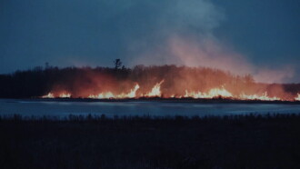 A Black Hole Near Kent County Trailer