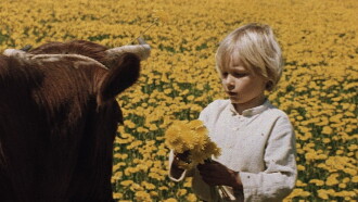 A Boy Trailer