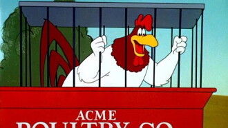 A Broken Leghorn Trailer