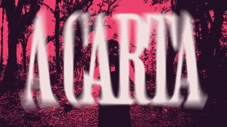 A Carta Trailer