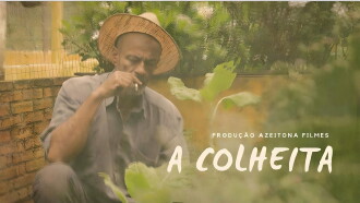 A Colheita Trailer