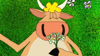 A Cow's Tale Trailer