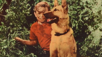 A Dog's Best Friend Trailer