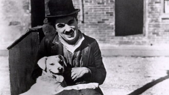 A Dog's Life Trailer