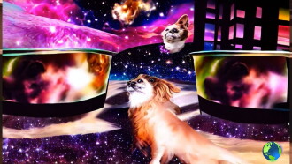 a DOG's LIFE in the UNIVERSE Trailer