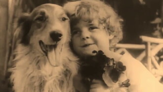A Dog's Love Trailer