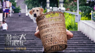 A Dog's Tale Trailer