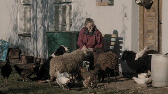 A Few Mornings, an Evening Trailer