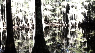 A Florida Melancholy Trailer