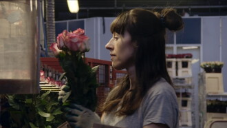 A Flower in the Mouth Trailer