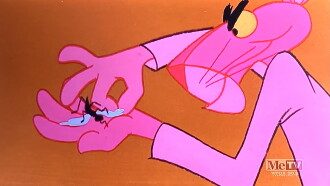 A Fly in the Pink Trailer