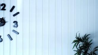 A Fly Up Close Trailer