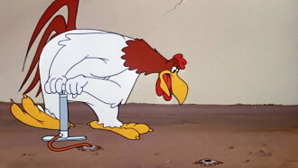 A Fractured Leghorn Trailer