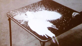 A Glass of Milk Trailer