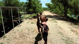 A Horse Story Trailer