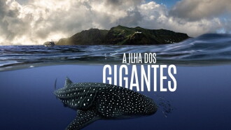 A Ilha dos Gigantes Trailer