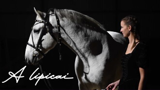 A lipicai Trailer