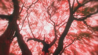 A Little More Flesh Trailer