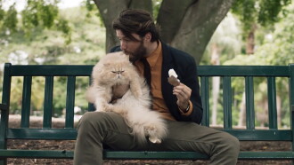 A Man and a Cat Trailer