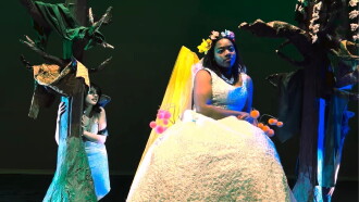 A Midsummer Night's Dream Trailer