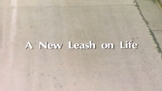 A New Leash On Life Trailer
