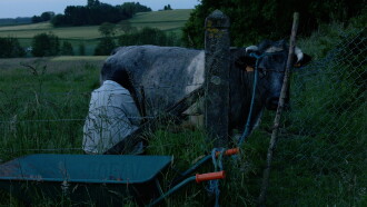 A New Spring For An Ancient Bough Trailer