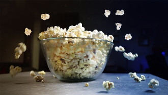 A Night For A Movie Trailer