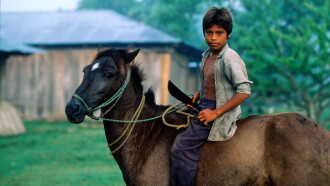 A Place Called Chiapas Trailer