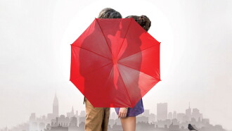 A Rainy Day in New York Trailer