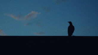 A Sign of Things Trailer