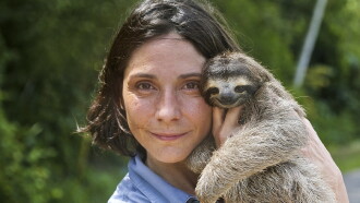 A Sloth Named Velcro Trailer