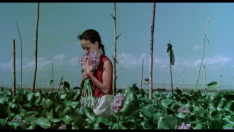 A Speck in the Water Trailer