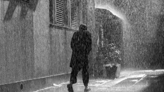 A Spoiling Rain Trailer