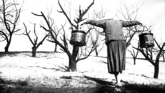 A Spring for the Thirsty Trailer